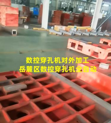 数控穿孔机对外加工 岳麓区数控穿孔机全自动